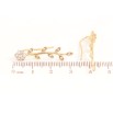 Серьги Xuping цвет позолота 18K клаймберы веточки с кристальными цветочками фото №2 Серьги Xuping цвет позолота 18K клаймберы веточки с кристальными цветочками фото №2