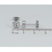 Серьги Xuping TTM Stainless Steel цвет Родий пусеты Цветочки фото №2 Серьги Xuping TTM Stainless Steel цвет Родий пусеты Цветочки фото №2