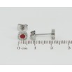 Сережки Xuping TTM Stainless Steel колір Родій пусети Циферблат з червоними вставками ø 6мм фото №2 Сережки Xuping TTM Stainless Steel колір Родій пусети Циферблат з червоними вставками ø 6мм фото №2