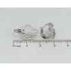 Серьги Xuping TTM Stainless Steel цвет Родий французский замок Бабочки фото №2 Серьги Xuping TTM Stainless Steel цвет Родий французский замок Бабочки фото №2