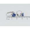 Серьги Xuping TTM Stainless Steel цвет Родий французский замок Синие кристаллы на дужках фото №2 Серьги Xuping TTM Stainless Steel цвет Родий французский замок Синие кристаллы на дужках фото №2