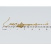 Серьги Xuping TTM Stainless Steel цвет 14K французский замок Подвески с бабочками фото №2 Серьги Xuping TTM Stainless Steel цвет 14K французский замок Подвески с бабочками фото №2