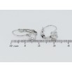 Серьги Xuping TTM Stainless Steel цвет Родий французский замок Фианиты на дужках ø 5мм фото №2 Серьги Xuping TTM Stainless Steel цвет Родий французский замок Фианиты на дужках ø 5мм фото №2