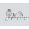Серьги Xuping TTM Stainless Steel цвет Родий пусеты Бабочки в колечках фото №2 Серьги Xuping TTM Stainless Steel цвет Родий пусеты Бабочки в колечках фото №2