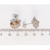 Сережки Xuping колір Родій з кристалами Swarovski пусети Зірки з кристалом Golden Shadow фото №2 Сережки Xuping колір Родій з кристалами Swarovski пусети Зірки з кристалом Golden Shadow фото №2