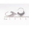 Серьги Xuping TTM Stainless Steel цвет Родий французский замок Декоративные сердечки с цепочками фото №2