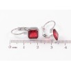 Серьги Xuping TTM Stainless Steel цвет Родий французский замок Красные фианиты на дужках 8х8мм фото №2