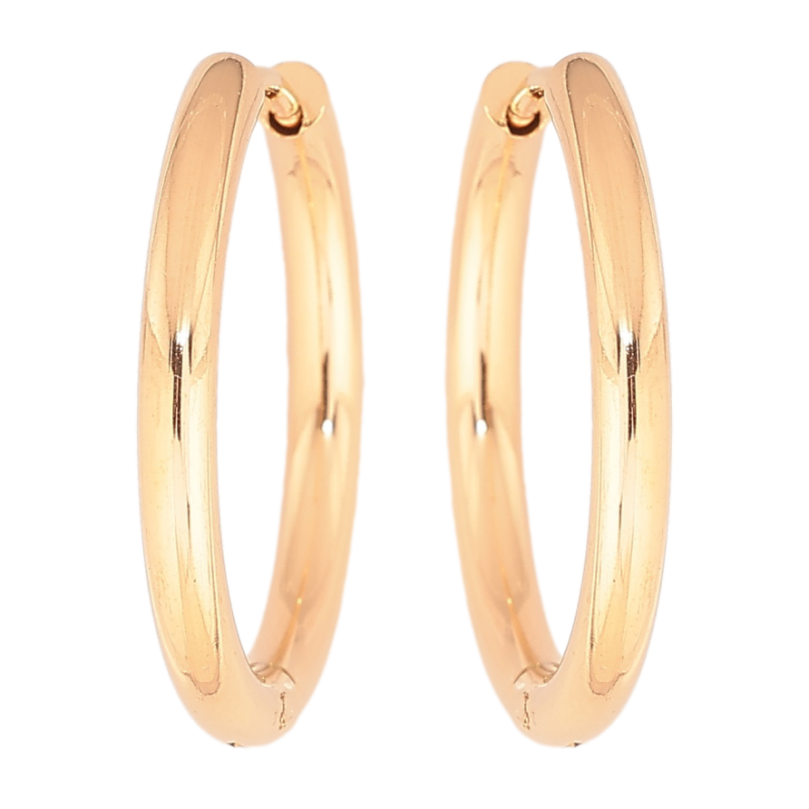Серьги Xuping TTM Stainless Steel цвет 18K колечки Классика, шир. 2.5мм ø 23мм фото №1 Серьги Xuping TTM Stainless Steel цвет 18K колечки Классика, шир. 2.5мм ø 23мм фото №1