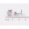 Сережки Xuping TTM Stainless Steel колір Родій пусети «Метелики» фото №2 Сережки Xuping TTM Stainless Steel колір Родій пусети «Метелики» фото №2
