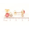 Сережки Xuping колір 18К з кристалами Swarovski пусети «Котики з кристалами Rose» фото №2 Сережки Xuping колір 18К з кристалами Swarovski пусети «Котики з кристалами Rose» фото №2