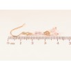Серьги Xuping M&L Цвет 18K французский замок Подвески с бело-розовым бисером фото №2 Серьги Xuping M&L Цвет 18K французский замок Подвески с бело-розовым бисером фото №2
