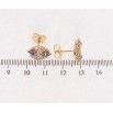 Сережки Xuping колір 18K з кристалами Swarovski пусети Зірки кристали Paradise Shine фото №2 Сережки Xuping колір 18K з кристалами Swarovski пусети Зірки кристали Paradise Shine фото №2